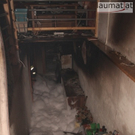 11322_Sd8n9fSw6.jpg