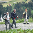 Alpe Felle_ Schr__cken Bilder 3_7_2011 016.JPG
