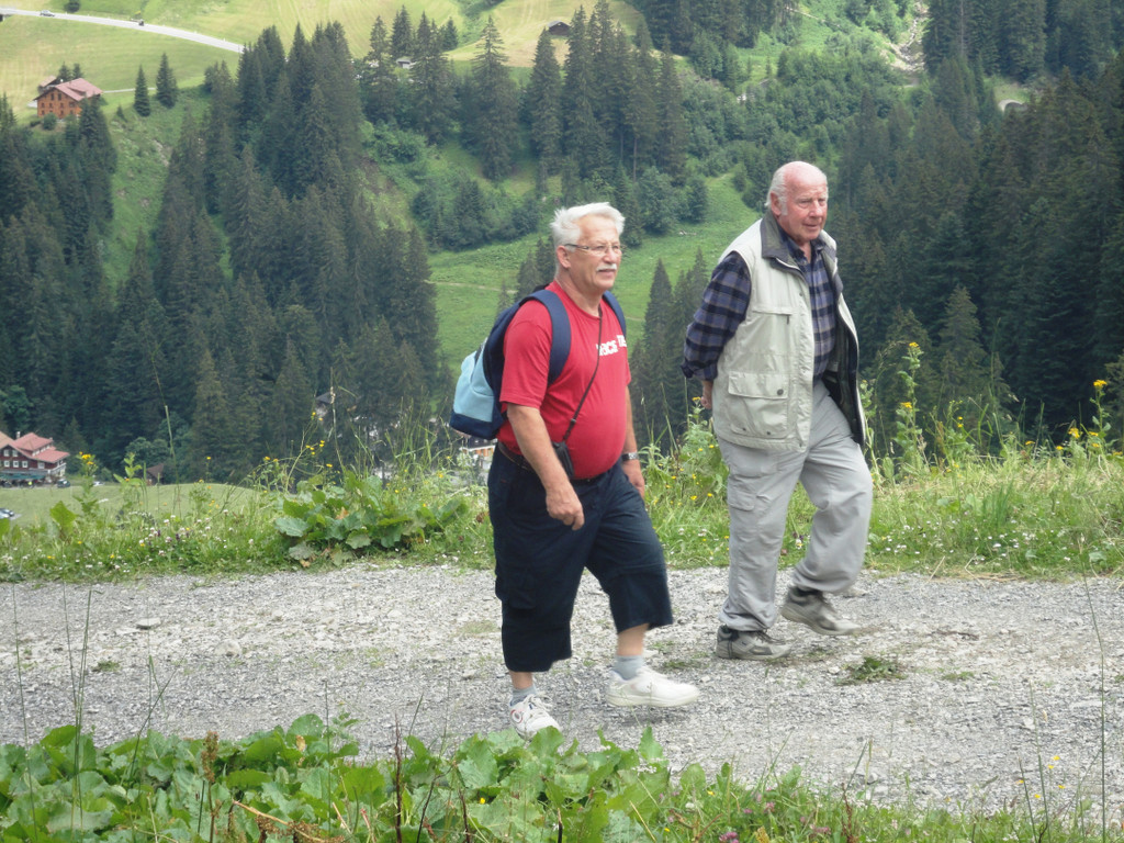 Alpe Felle_ Schr__cken Bilder 3_7_2011 019.JPG