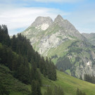 Alpe Felle_ Schr__cken Bilder 3_7_2011 023.JPG