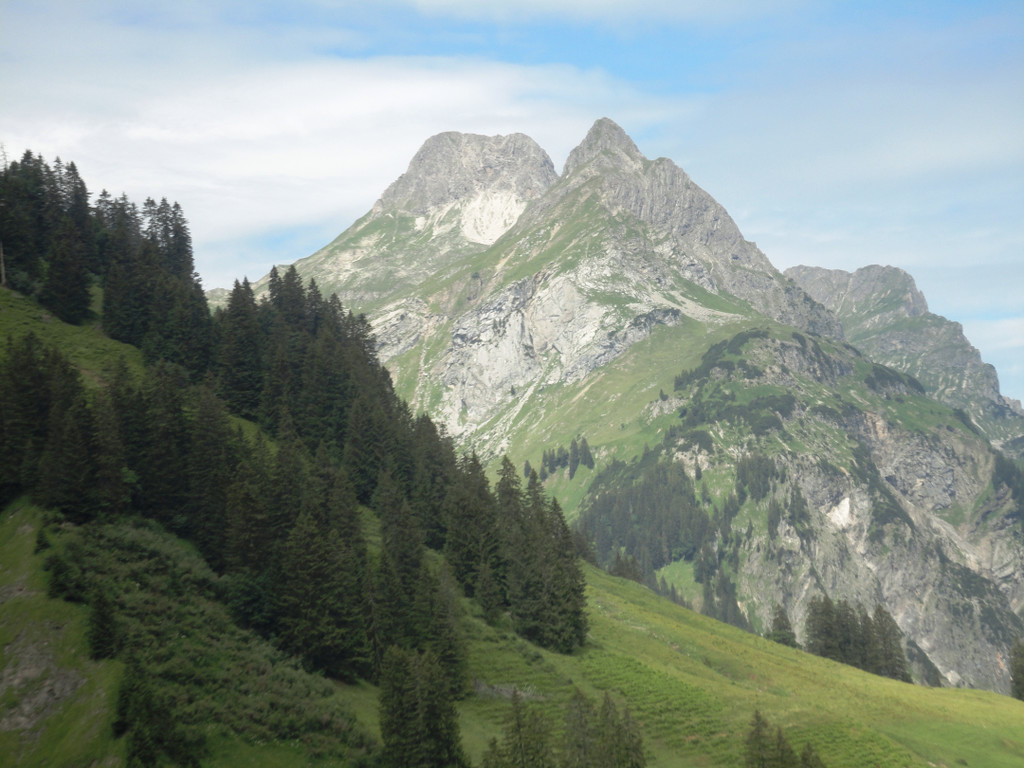 Alpe Felle_ Schr__cken Bilder 3_7_2011 023.JPG