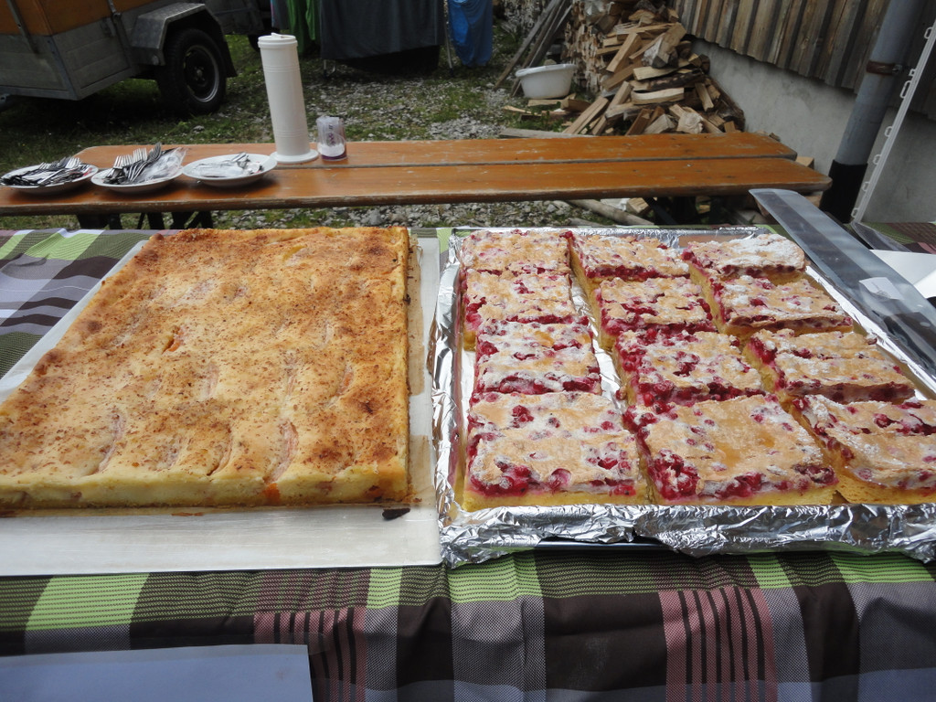 Alpe Felle_ Schr__cken Bilder 3_7_2011 063.JPG