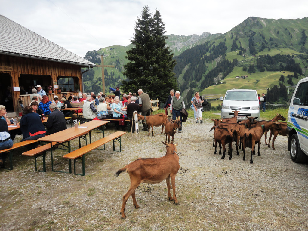 Alpe Felle_ Schr__cken Bilder 3_7_2011 044.JPG