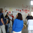 IMGP4742.JPG