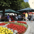 031 Kopie_jpg-1310314487