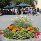 043 Kopie_jpg-1310314534