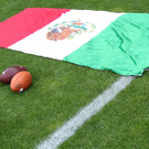 th-00214090.jpg