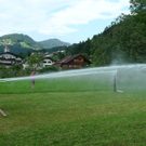 P1030914_JPG-1310326798