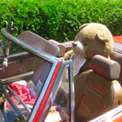 BK_oldtimerhock 4_jpg-1310331577