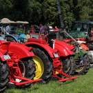 normal_10072011bulldrlaktivnews__2_.jpg