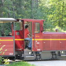 normal_10072011bulldrlaktivnews__27_.jpg