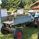 normal_10072011bulldrlaktivnews__64_.jpg