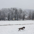 normal_12122009wintertaaktivnews_10.jpg