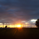 impressionen rohrspitz neu 004.jpg