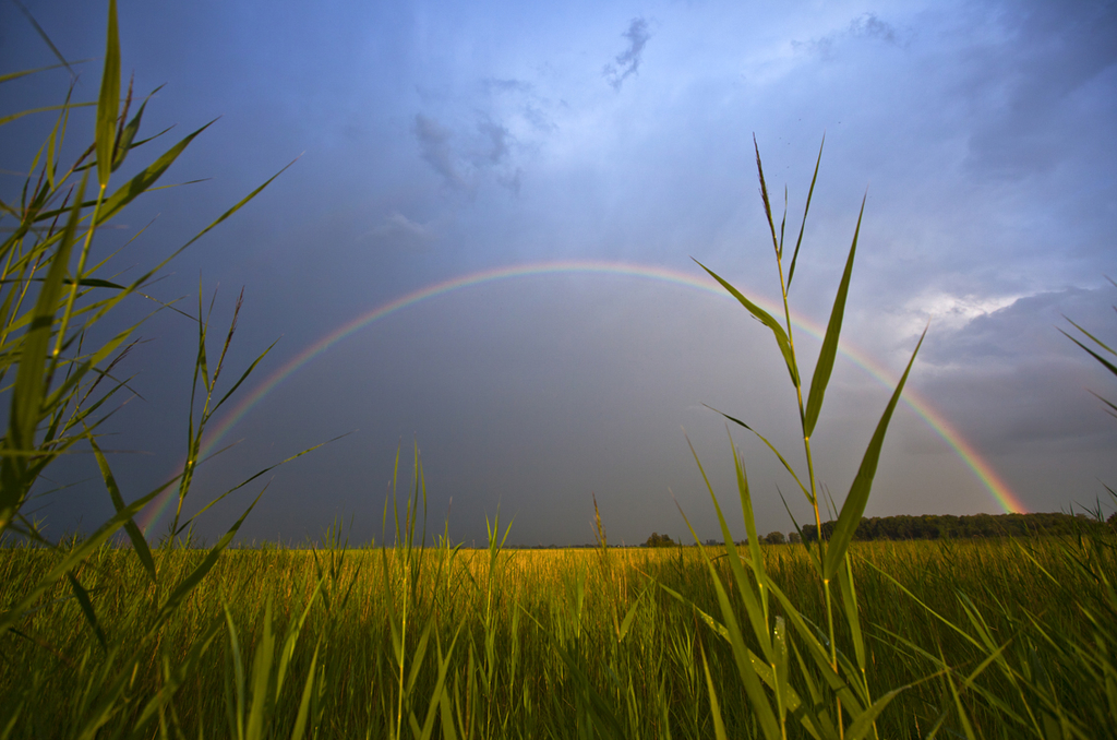 impressionen rohrspitz neu 024.jpg
