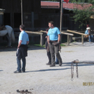 IMG_3590_JPG-1310414810