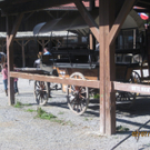 IMG_3592_JPG-1310414819