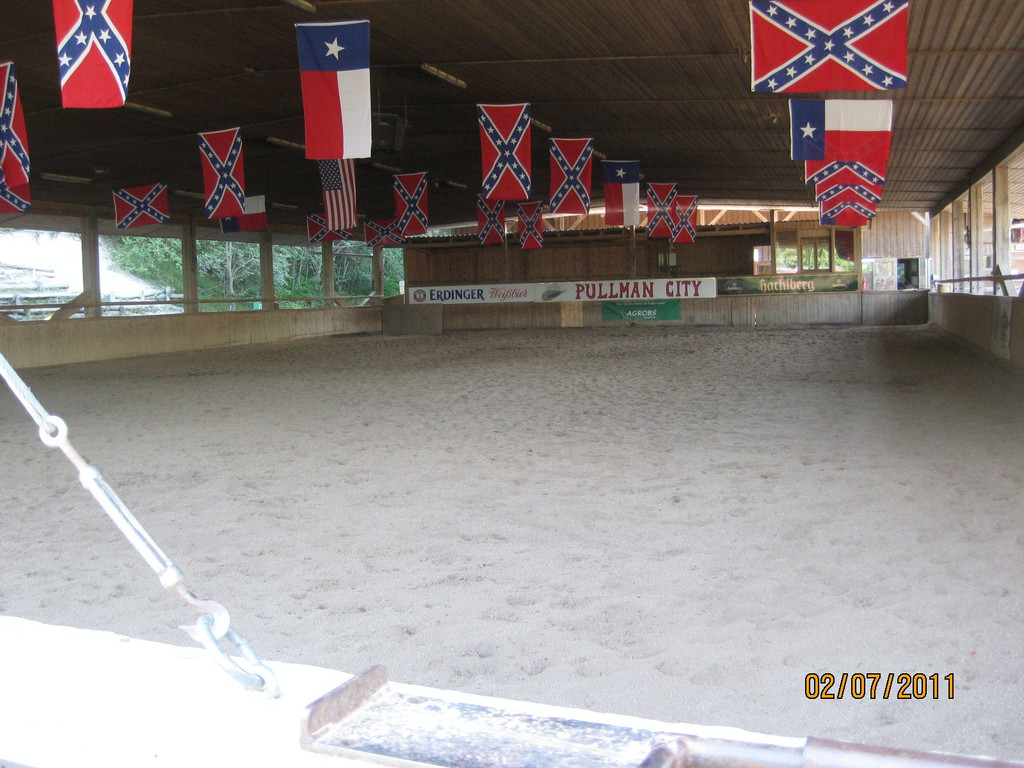 IMG_3594_JPG-1310414827