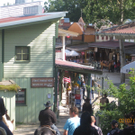 IMG_3600_JPG-1310414854