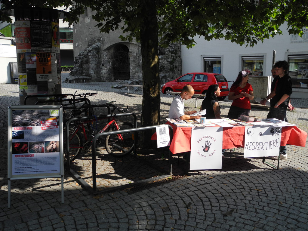 DSCN0168_JPG-1310456084