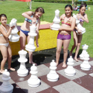 Baden14Schach_jpg-1310457390