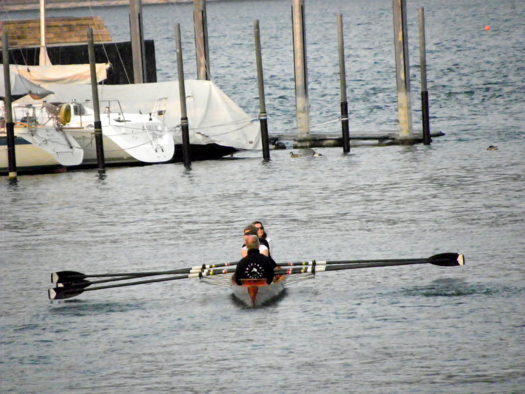 19_4_11 440_jpg-1310458624