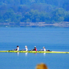 110_2279_JPG-1310458630