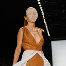 IBD1070-20110709.jpg