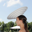IBD1113-20110708.jpg