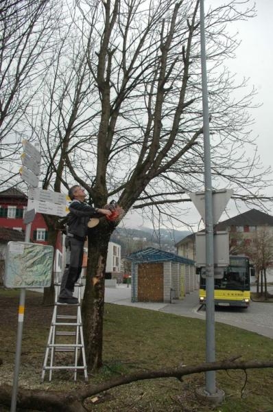 dorfplatz2.jpg