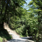 Pfaenderstrasse Baustelle _14__jpg-1310479474