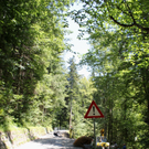 Pfaenderstrasse Baustelle _15__jpg-1310479497