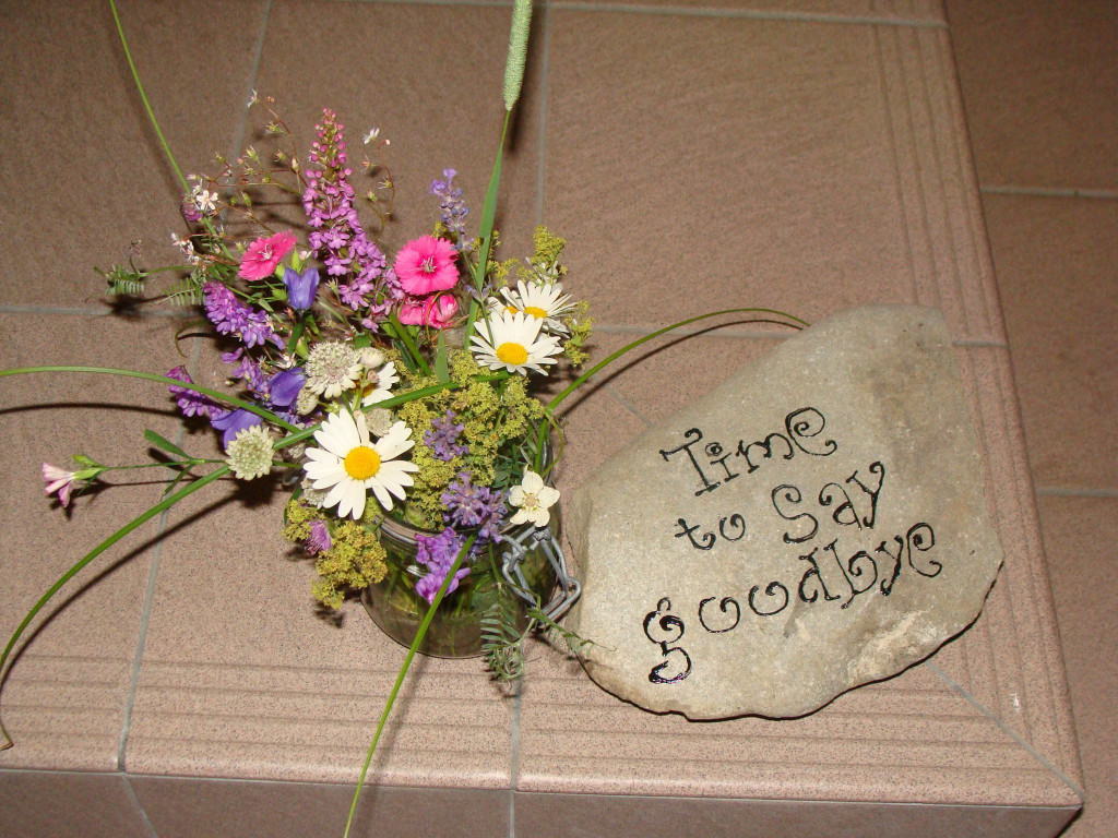DSC06636.JPG