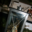 IMG_2469.jpg