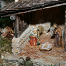 IMG_2471.jpg