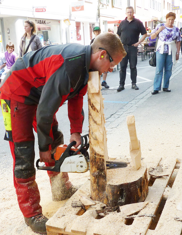 Fest4aSaege_jpg-1310573190