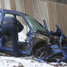normal_121209vuwagraingmaktivnews__9_.jpg