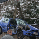 normal_121209vuwagraingmaktivnews__33_.jpg