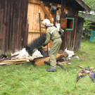 normal_130711branduntergaaktivnews_0007.jpg