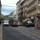 bim5.JPG