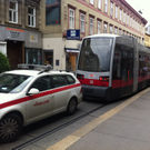bim6.JPG
