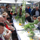 DSC_6935_jpg-1310639638