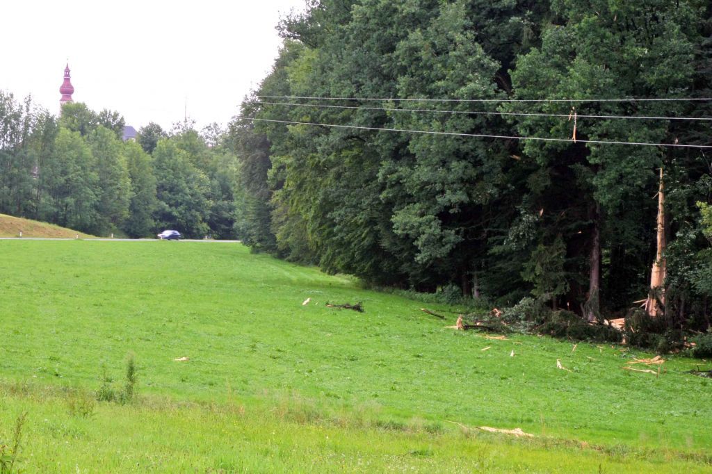 normal_14072011baumblitzwm2aktivnews_01.jpg