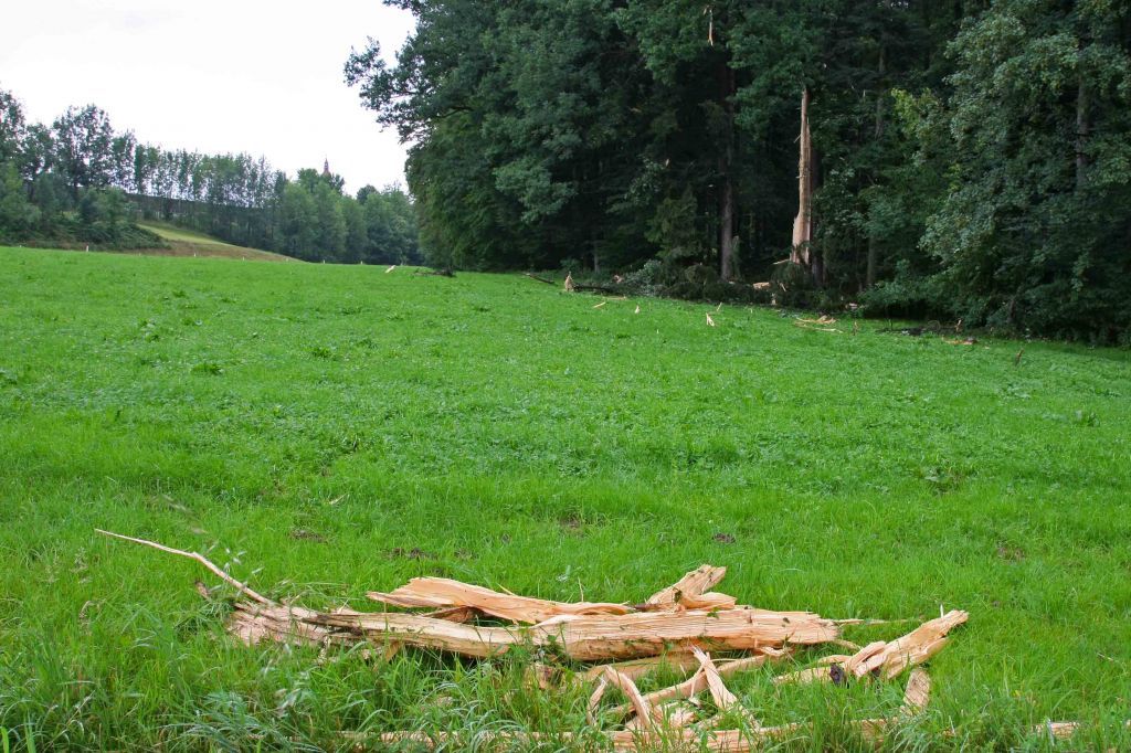 normal_14072011baumblitzwm2aktivnews_03.jpg