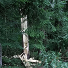 normal_14072011blitzffaktivnews_07.jpg