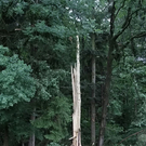 normal_14072011blitzffaktivnews_11.jpg