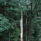 normal_14072011blitzffaktivnews_12.jpg