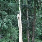 normal_14072011blitzffaktivnews_16.jpg