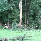 normal_14072011blitzffaktivnews_18.jpg