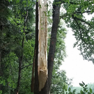 normal_14072011blitzffaktivnews_23.jpg